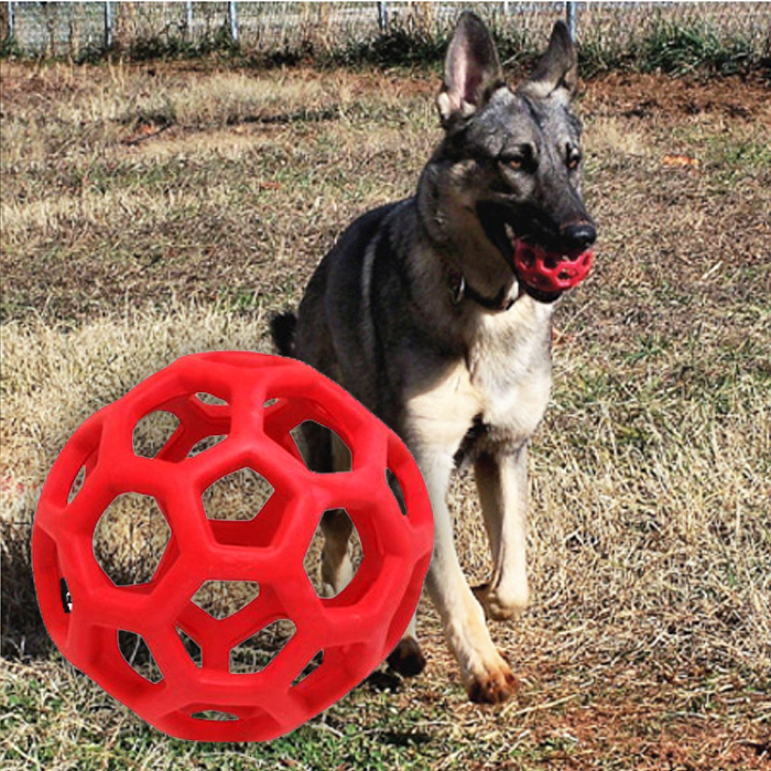 犬 ボール ホーリーローラーボール おもちゃ おでかけ お散歩 マルチカラー かわいい  スマイヌ 犬用グッズ