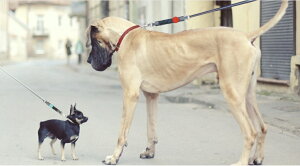 yWAWz E A`EVbN XXSbpObY X}Ck