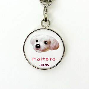 yDENSCRAFTz Xgbv }`[Y fYNtg nhCh G { X}Ck ybg  ObY