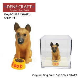 yDENSCRAFTz Dog@CUBE uWAIT!vVFp[h  tBMA u CeA ObY v[g Mtg  킢