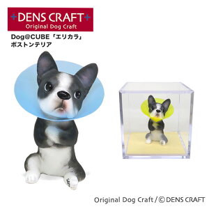 yDENSCRAFTz Dog@CUBE uGJv{XgeA  tBMA u CeA ObY GUxXJ[ v[g Mtg  킢