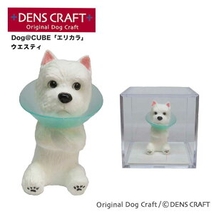 yDENSCRAFTz Dog@CUBE uGJvEFXeB  tBMA u CeA ObY GUxXJ[ v[g Mtg  킢