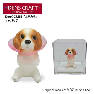 yDENSCRAFTz Dog@CUBE uGJvLoA  tBMA u CeA ObY GUxXJ[ v[g Mtg  킢