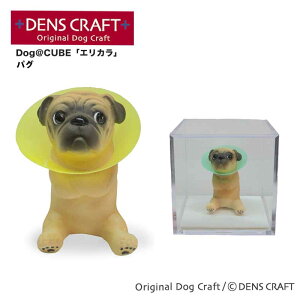 yDENSCRAFTz Dog@CUBE uGJvpO  tBMA u CeA ObY GUxXJ[ v[g Mtg  킢