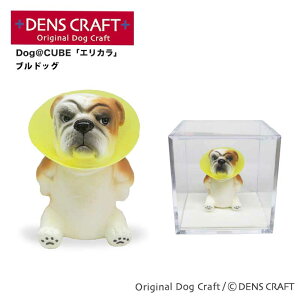 yDENSCRAFTz Dog@CUBE uGJvuhbO  tBMA u CeA ObY GUxXJ[ v[g Mtg  킢