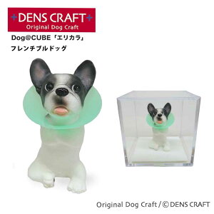 yDENSCRAFTz Dog@CUBE uGJvt`uhbO  tBMA u CeA ObY GUxXJ[ v[g Mtg  킢