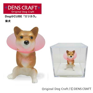yDENSCRAFTz Dog@CUBE uGJv Č  tBMA u CeA ObY GUxXJ[ v[g Mtg  킢