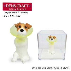 yDENSCRAFTz Dog@CUBE uGJvWbNbZ  tBMA u CeA ObY GUxXJ[ v[g Mtg  킢