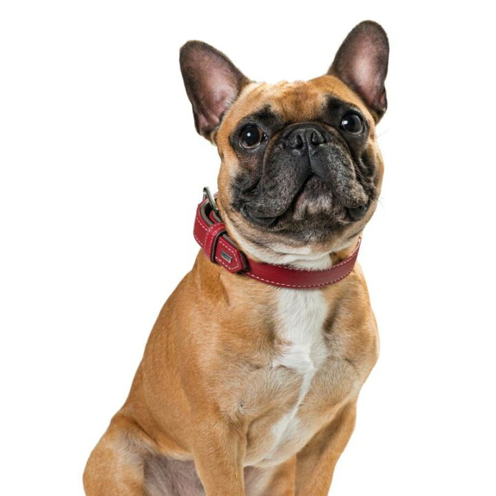 楽天市場 Hunter ドイツ製 エルクレザー カナディアン サイズ35 スマイヌ 犬用グッズ Sumainu 楽天市場 Hunter ドイツ製 エルクレザー カナディアン サイズ35 スマイヌ 犬用グッズ Sumainu