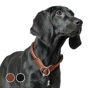 �yHUNTER�z ���p ��� ���[�j���O�J���[ �J�i�f�B�A�� �A�b�v ���E���h���\�t�g | ���v �h�C�c�u�����h