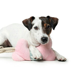 楽天市場 ハンター 犬用品 ペット ペットグッズ の通販