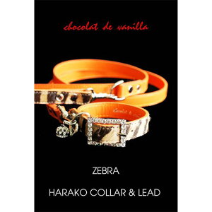 yPUERTOz nRJ[[hi[u×IWj pObY X}Ck