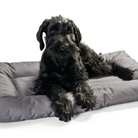 楽天市場 ハンター 犬用品 ペット ペットグッズ の通販