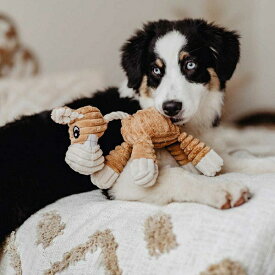 楽天市場 ハンター ペット ペットグッズ の通販 楽天市場 ハンター ペット ペットグッズ の通販