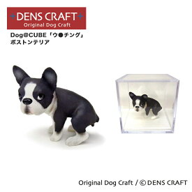 【DENS CRAFT】 Dog@CUBE 「ウ●チング」 ボストンテリア 犬 フィギュア プレゼント ギフト おしゃれ かわいい インテリア グッズ