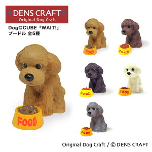yDENSCRAFTz Dog@CUBE uWAIT!v v[h  tBMA u CeA ObY v[g Mtg  킢