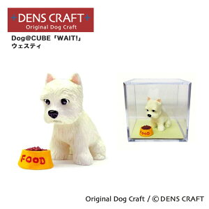 yDENSCRAFTz Dog@CUBE uWAIT!v EFXeB  tBMA u CeA ObY v[g Mtg  킢