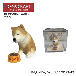 yDENSCRAFTz Dog@CUBE uWAIT!v Hc  tBMA u CeA ObY v[g Mtg  킢