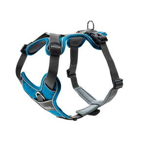 yHUNTERz p n[lX fBH hCc uh U pbh ł  ObY X}Ck