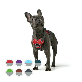 【HUNTER】 犬用 ハーネス ディヴォ ドイツ ブランド お散歩 胸部パッド おでかけ おしゃれ グッズ スマイヌ