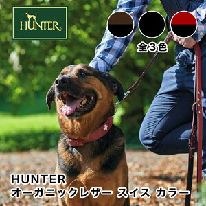 yHUNTERz p  hCc {v I[KjbNU[ XCX J[ 65(51-58.5cmA3.9cm)  pi X}Ck