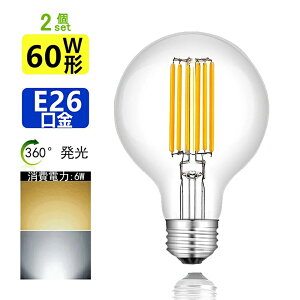 2 LEDd 60W E26 G80 {[d ی` tBg dF F 2700K 6000K GW\v NA^Cv gv {[  ی^