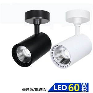 yyV1ʁzV[OCg@Ǌ|Ɩ@X|bgCg @VƖ@dF/F@Ǌ|Cg@X|bgCg V[OCg@Hp CeA