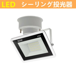 V[OCg@LED LEDV[OCgp@X|bgCg@200W V[OCg ̌^LEDX|bgCg d30W@V[OCgp