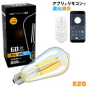 【1年保証付き★調光調色】LEDエジソン電球 E26 60W相当 アプリ・リモコン操作対応 クリア電球 フィラメント 広配光タ…