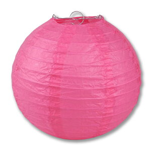  傤   y[p[^ a 10cm 15cm 20cm 25cm 30cm 10Zbg t ^ Ղ p^ C~l[V fʐ^ i S15F  čՂ ԉ