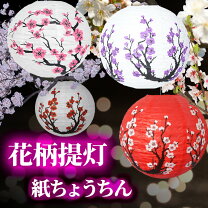桜ぼんぼり 提灯の通販