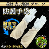 【2点ご購入で300円引きクーポン】 ガーデングローブ ガーデニンググローブ 園芸手袋 バラグローブ バラ …