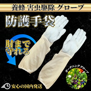 K[fO[u K[fjOO[u | oO[u o KN K[fjO {Ip Ih앞 |  F  O _ A  t[TCY rS^Cv I 