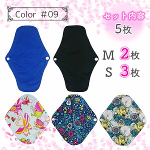 zivL p AR  h  2 5Zbg zCi[ JԂg ivL ̃V[g ivL  26cm 21cm y ʂ̓p pc ~ACe N