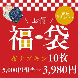 布ナプキン おりもの 生理用ナプキン 布ライナー 10枚 繰り返し使える 尿漏れ 尿もれ 失禁 防水 吸水ショーツ 肌にやさしい 透湿防止布 約21cm 普通〜多い日昼 竹炭 温活 生理用品 サニタリーパッド 防災の日 冬アイテム