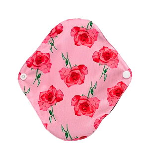 y12/4 20` 3_w20N[|z zivL  ivL zCi[ JԂg ivL hz 21cm D  YOY }^jeB[  ʁ`p ЊQp 