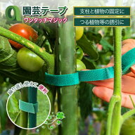 園芸テープ ワンタッチ 結束 誘引 1m 2個 5個 10個 園芸用 テープナー 野菜誘引 農業テープツール 結束機…