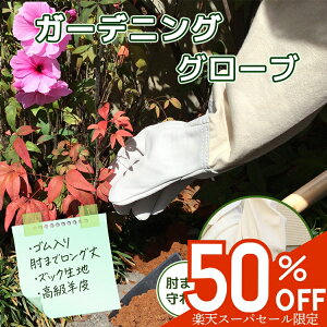 yz1580~790~zK[fO[u rv o rn f jp ʋC Ȃ K[fjO w O[u  A {^jJ  lC ԕ Ɨp  _ ƒ؉ 