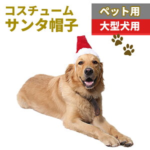 T^  ^ ybg NX}X T^ ^p NX}X RXv T^Xq ~ ߑ LTCY BeObY f ^ ^ RX`[  hbOEFA Ȃ肫蕞 ~