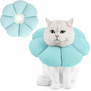 Avont GUxXJ[ p Lp \tg y p ی rߖh~ ?h~ i}_j