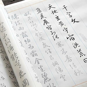 ʌop s玚 Ȃ菑ʌo 傫 K ѕM S1玚 4[g̒ (s玚)
