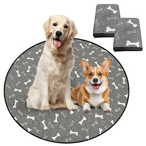 Para Sora 􂦂 ybgV[c ی^ L p 2Zbg(a90cm)  ~ h ybgV[c p`ybgT[NɍœK  z L V[c ld\ Rh~  J