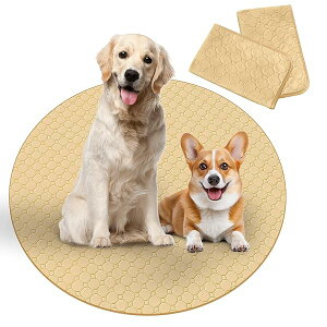 Para Sora 􂦂 ybgV[c ی^ L p 2Zbg(a90cm) ~ h ybgV[c p`ybgT[NɍœK z L V[c ld\ Rh~  JԂgp