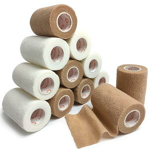 сAȔS AwAArAeсApLk5cm 6[̐F6[