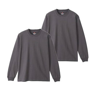 [wCY] r[tB[ OX[u T TVc  ێ BEEFY-T 100% ۓdl ^O