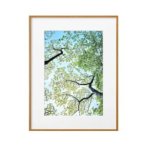 �n�N�o HAKUBA �z�� ZERO�t���[�� G-01AZ A4�T�C�Y �u���E�� �y�� �����t���[�� �݂�R�t PS�Ŋ�