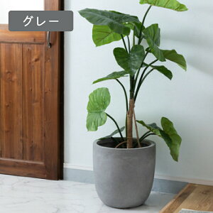 J O[x[X v^[ 4F A Aؔ jAXJ[ }bg ݃J[ A  