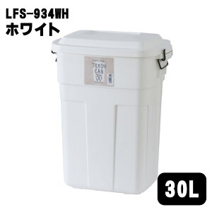 J gbVJ 30L { S~ t^t|vs ې  O _Xg{bNX LFS-934