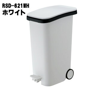 J y__Xg{bNX 31L S~J t^t ې  ʃS~ _Xg{bNX RSD-621