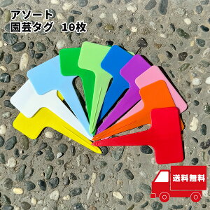 |p^O 10Zbg |x A^O |Ԓd A K[fjO A D vX`bN T^` ϗtA A }